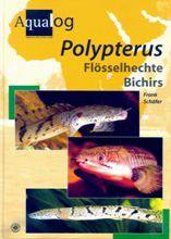 Picture of the cover of Polypterus -
                  Bichirs book by Frank Schafer.